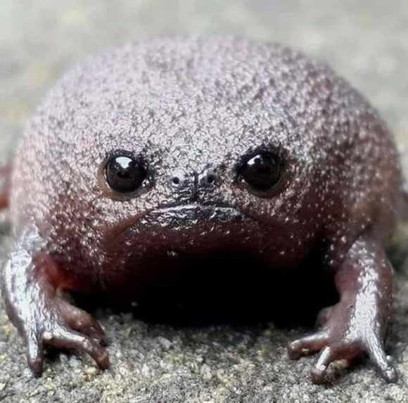 Meet your Posher, Justin - Picture 1 of 1